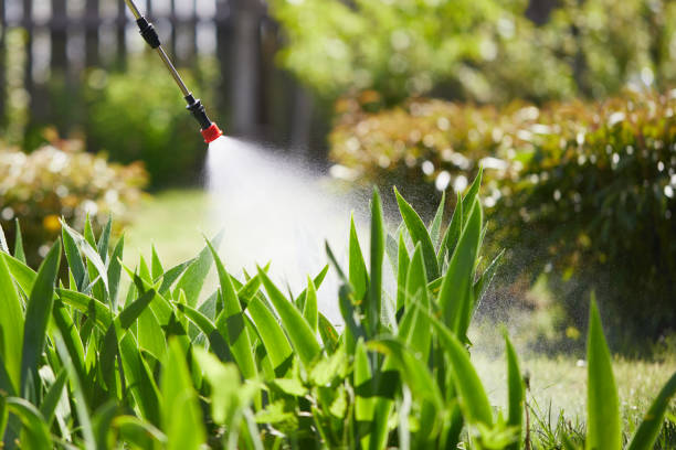 24/7 Emergency Mosquito Control experts in Alakanuk, AK
